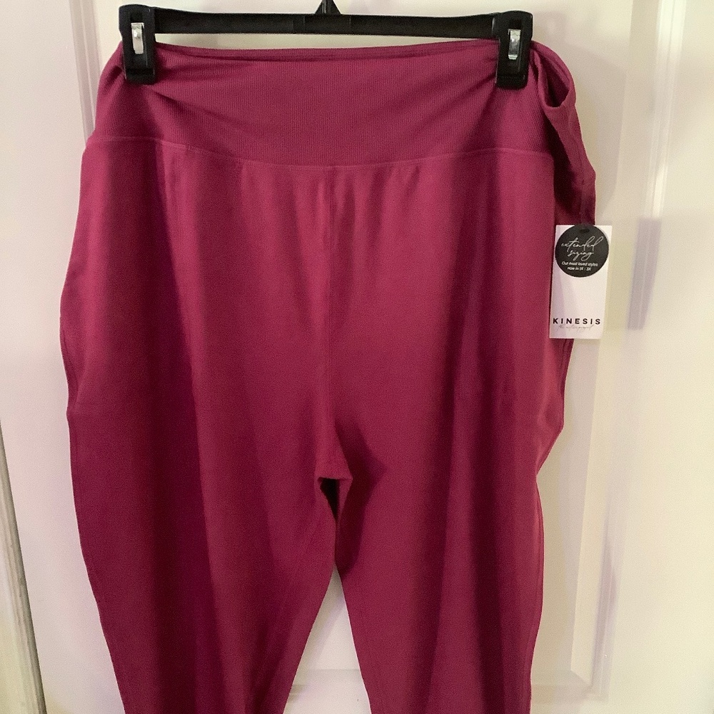 Woman’s plus Kinesis work out pant 3x